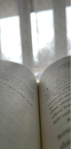 write a book in 90 days